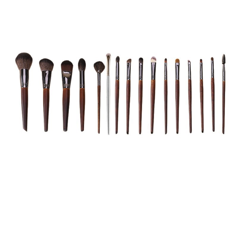 Dark Wood Handle Professional Brush Set (16 pcs)