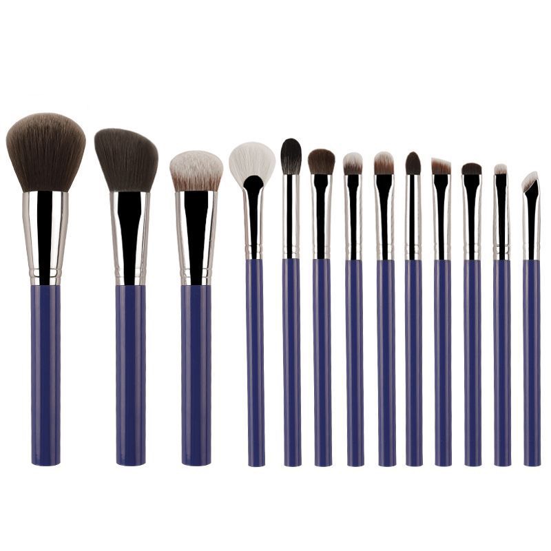 Blue Handle Professional Brush Set (14 pcs)