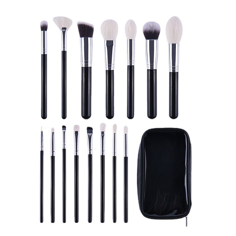 Professional Black Handle Brush Set with Case (20+ pcs)