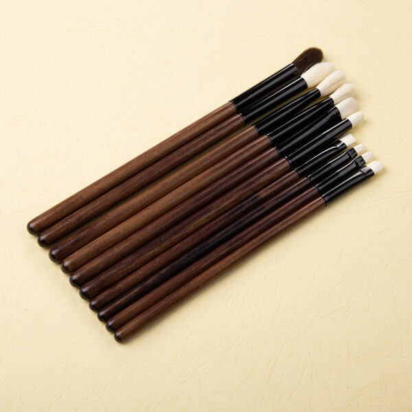 K10079 10 piece eye brush set