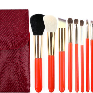 K30050 10 piece makeup brush set in a portable case